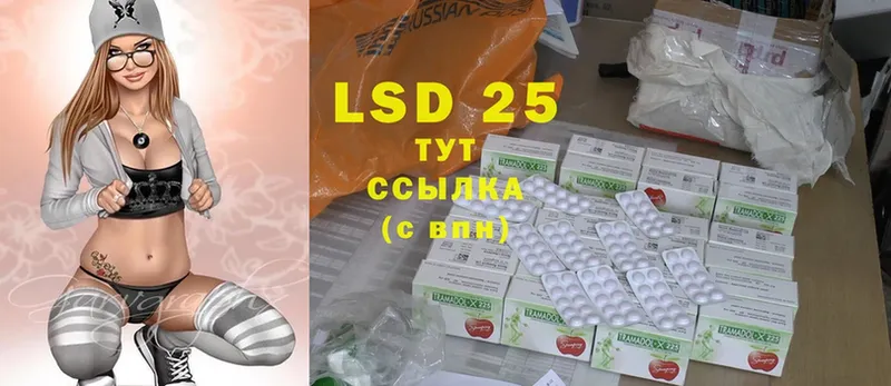 наркота  Заводоуковск  kraken как зайти  LSD-25 экстази ecstasy 